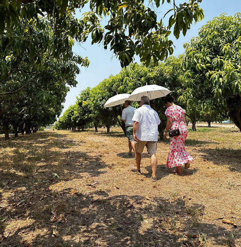 golden_harvest_about_us_plantagenbesuch