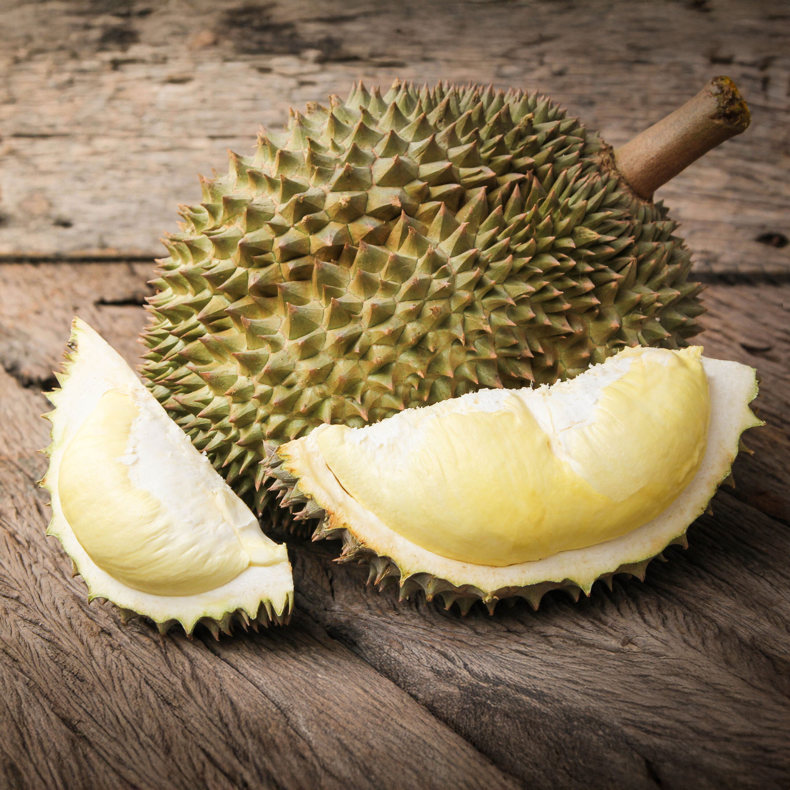 Investieren in Durian | die Königin der Früchte Investieren in Durian | die Königin der Früchte