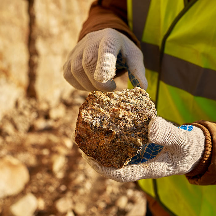 Miscanthus-Investment